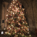 Christmas tree Ely Cathedral with Zeiss ExoLens Wide