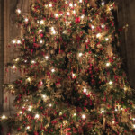 Christmas tree Ely Cathedral without Zeiss ExoLens Wide